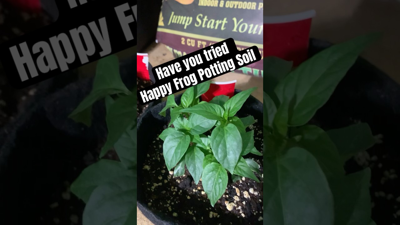 Have you tried Fox Farm Happy Frog Potting Soil #garden #Soil #plants #happyfrog