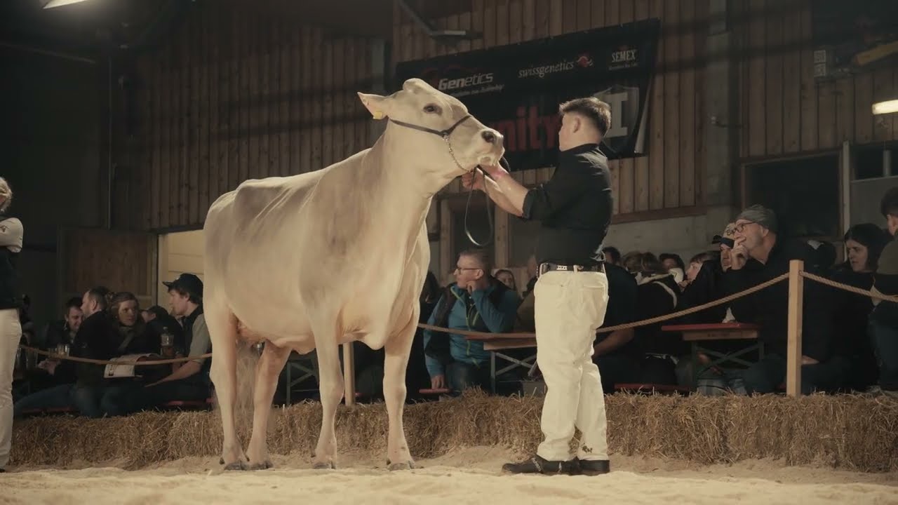 JUNIOR CLASSIC 2026- 