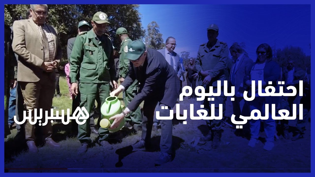 وكالة المياه والغابات