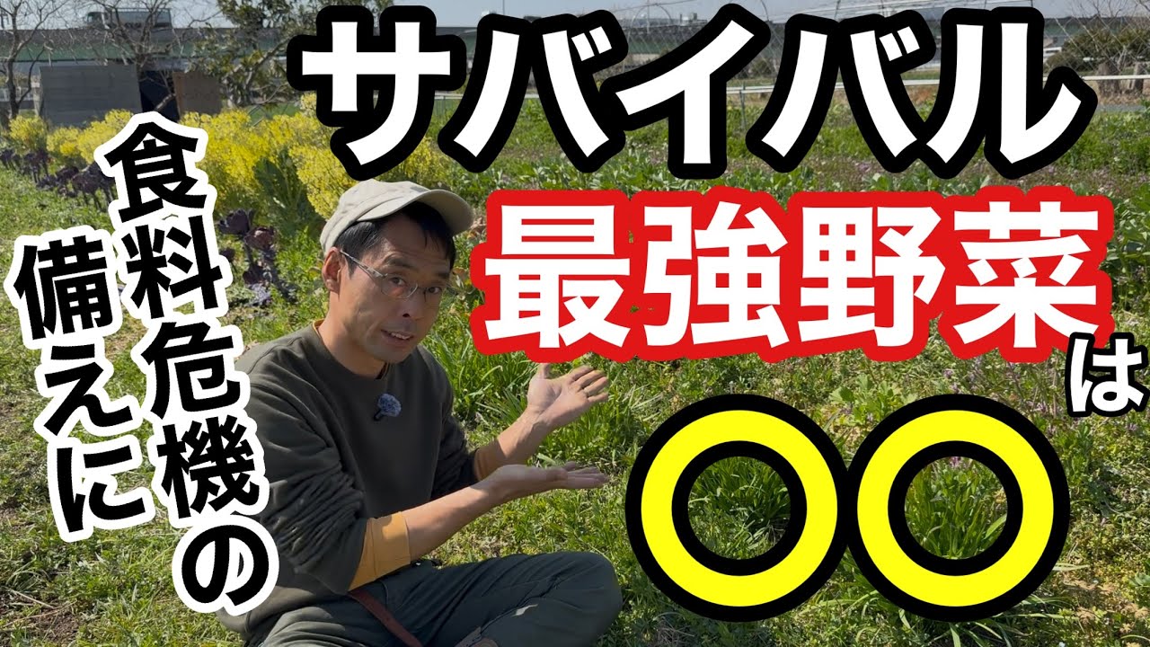 【物価高騰•食料危機に備える】お勧め野菜とその理由/併せて備蓄すると良いものについて