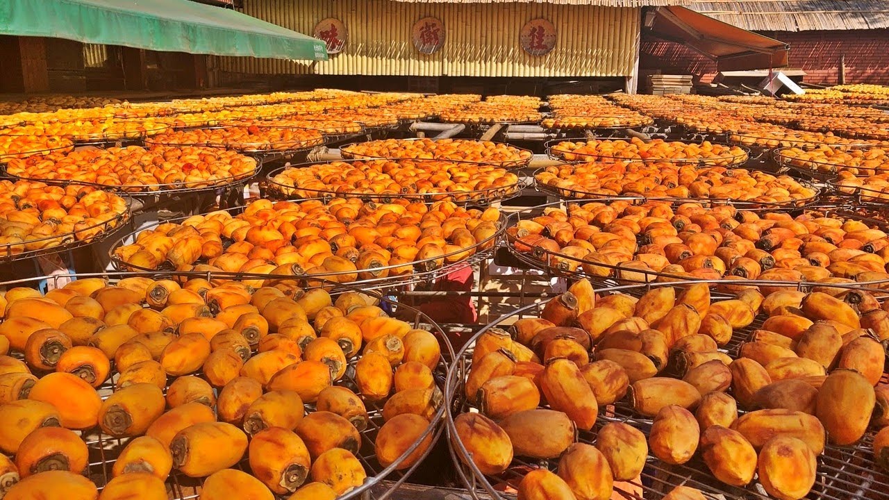 An Impressive Persimmon Leisure Farm in Taiwan