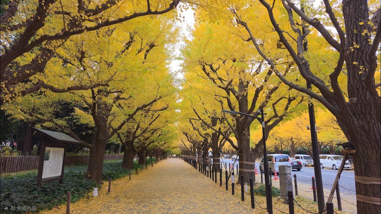 202511日本之旅 PART 6 東京市區一日遊