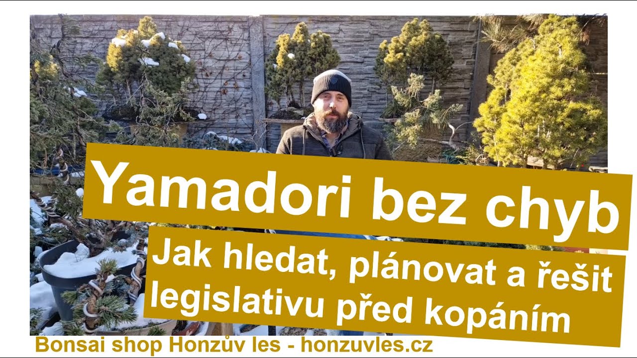 Yamadori bez chyb: Jak hledat, plánovat a řešit legislativu před kopáním