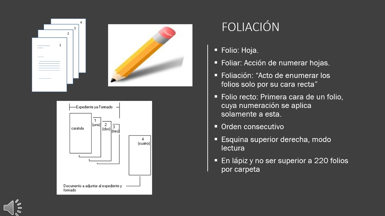 TRANSFERENCIAS DOCUMENTALES
