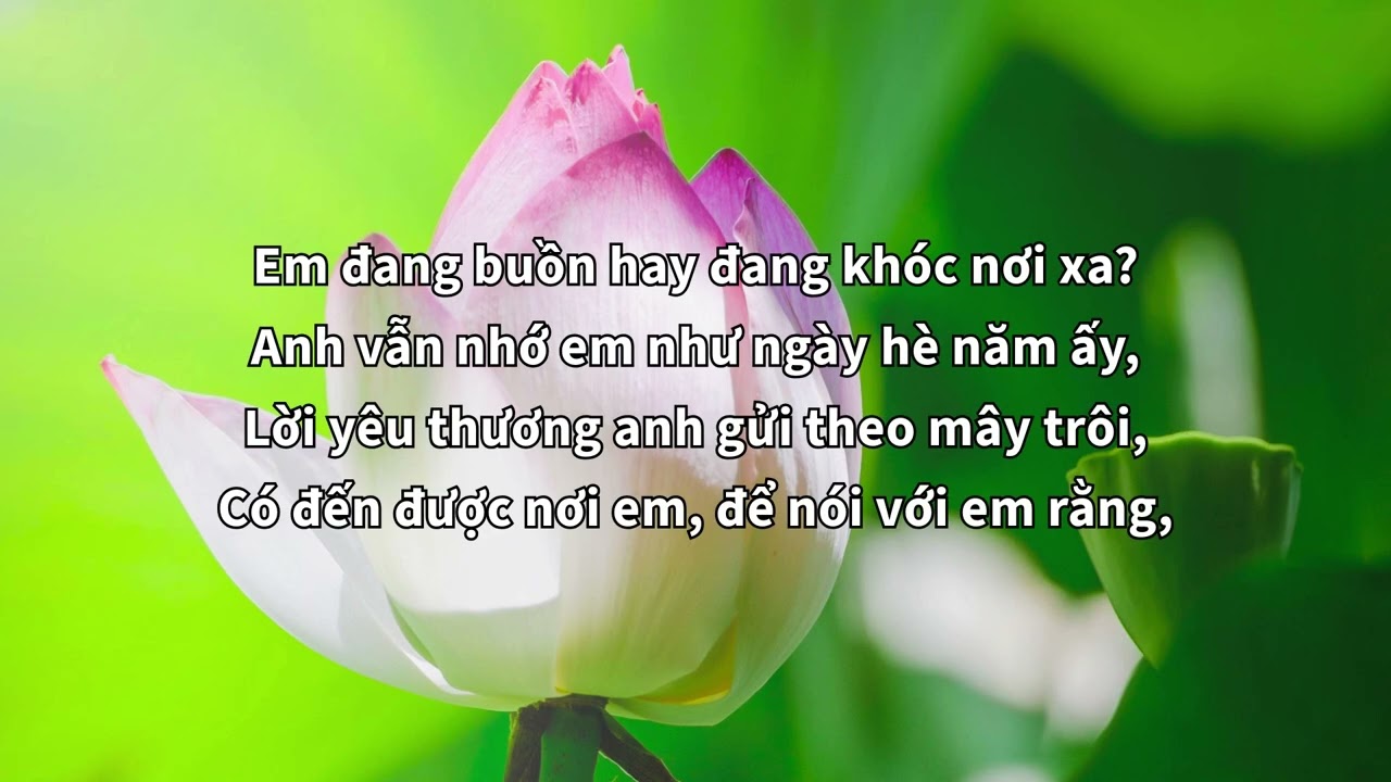 Một Ngày Đầu Hè