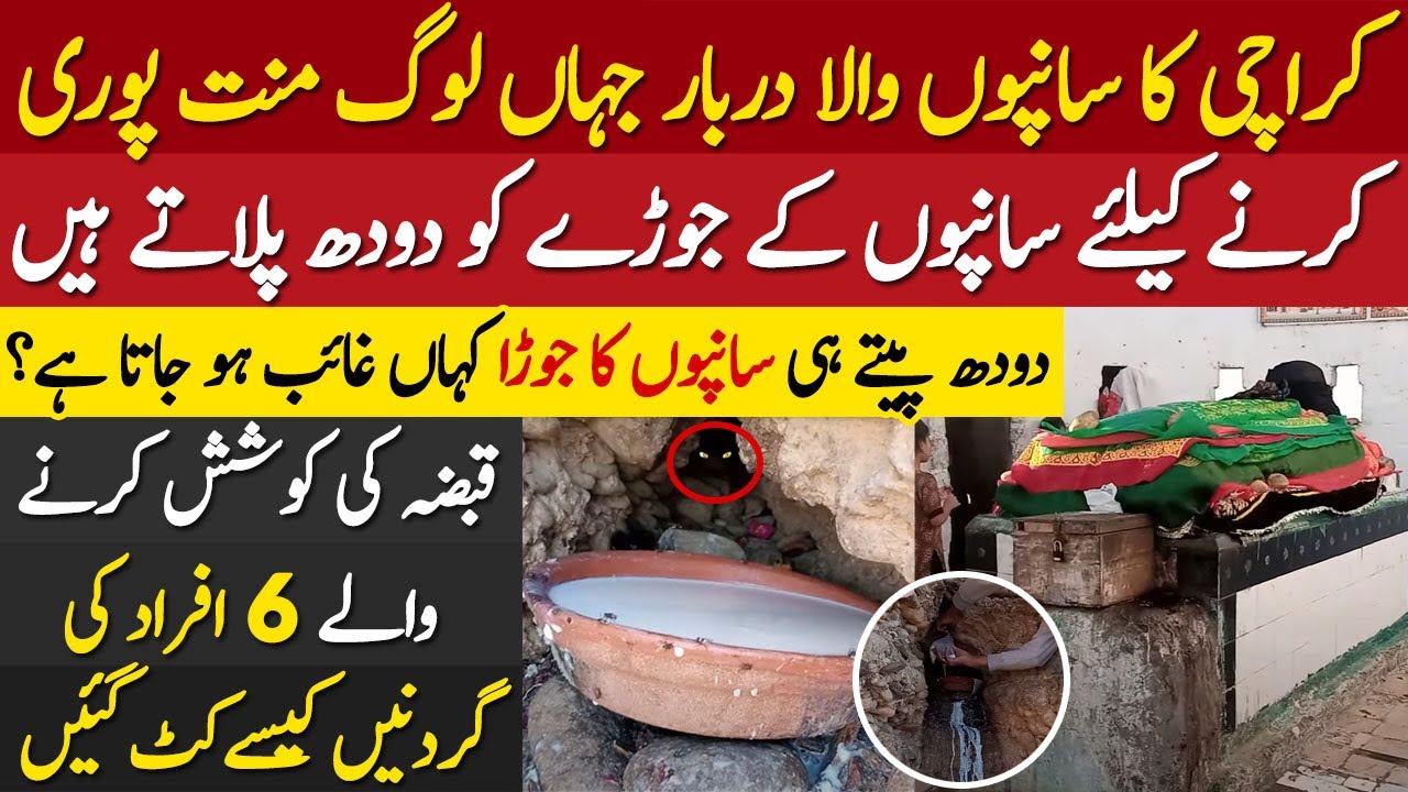 Karachi ka Sanpo Wala Darbar Jhan Log Mannatein Puri Hone Par Sanpo Ko Doodh Pilaty Han