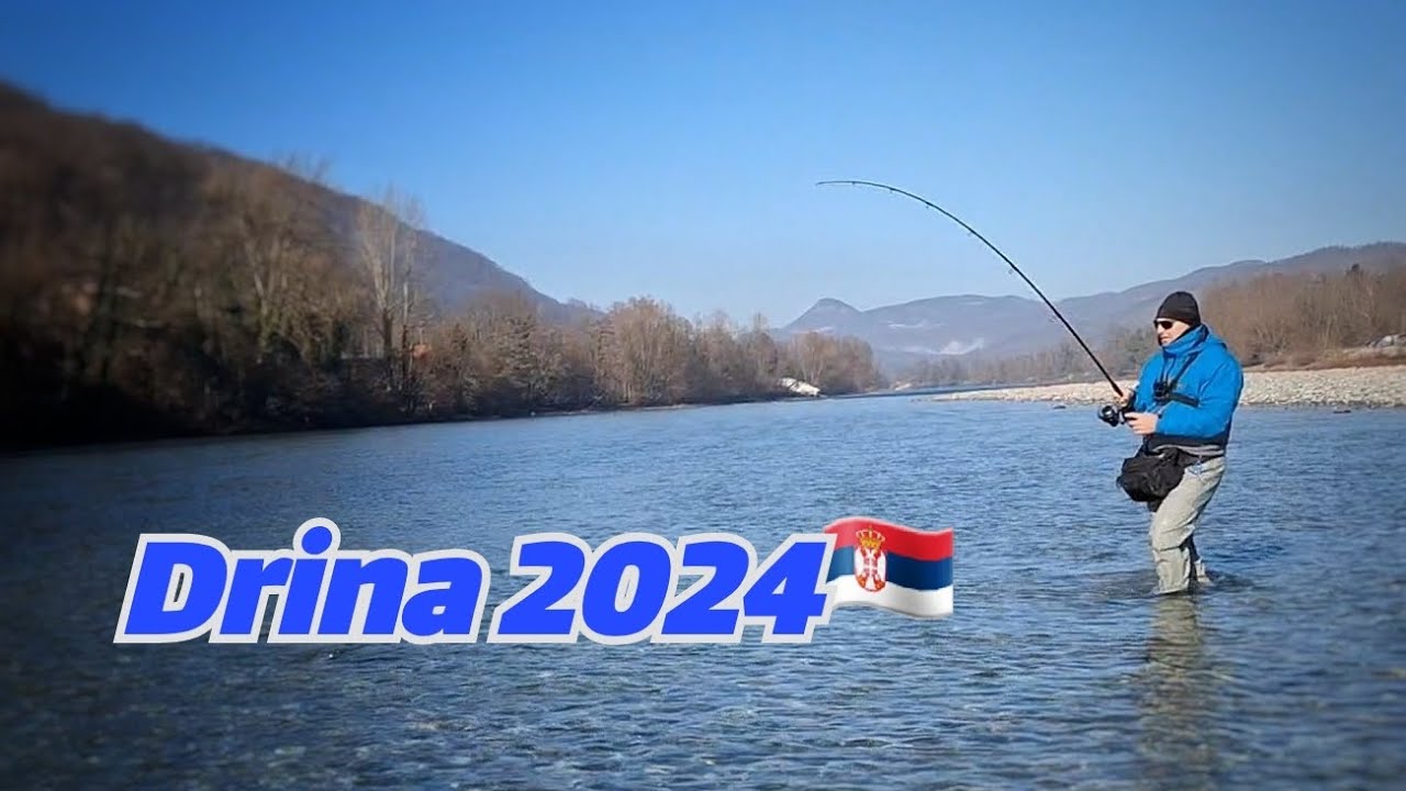 Hucho hucho l Drina l Bajina Ba&scaron;ta  l  malo mala ali draga  l  Fishing Taimen river Drina Serbia  l