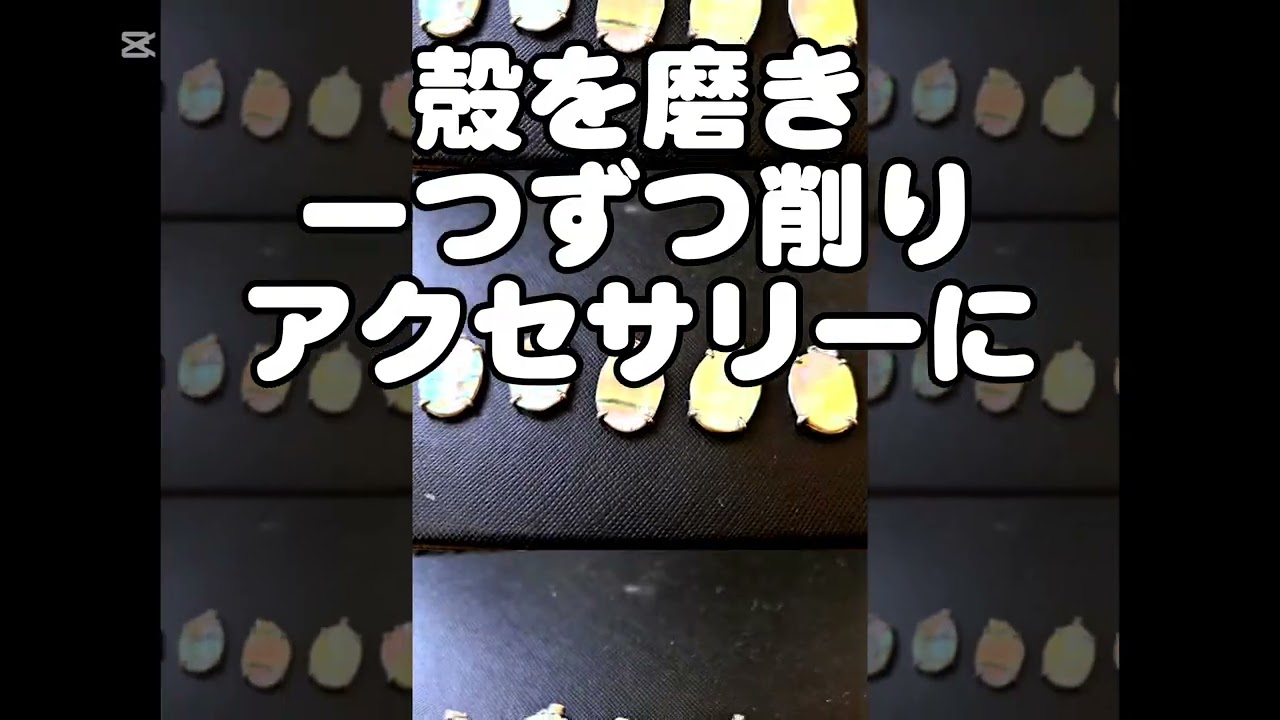 廃棄アワビから生まれた美しすぎるアクセサリー