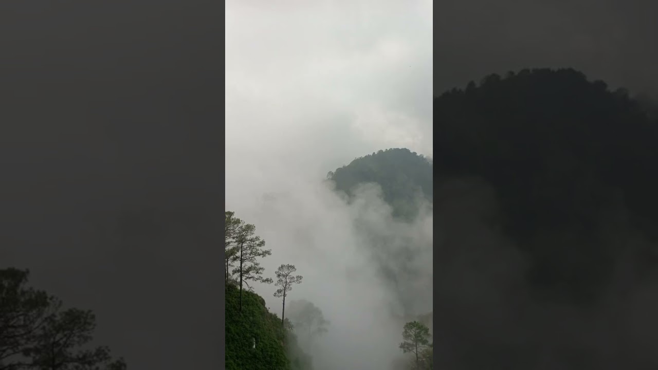 Vaishno Devi ghumne gaye thei 🤗🤭#najaravlogs #khubsuratnaat #blogsvideo 