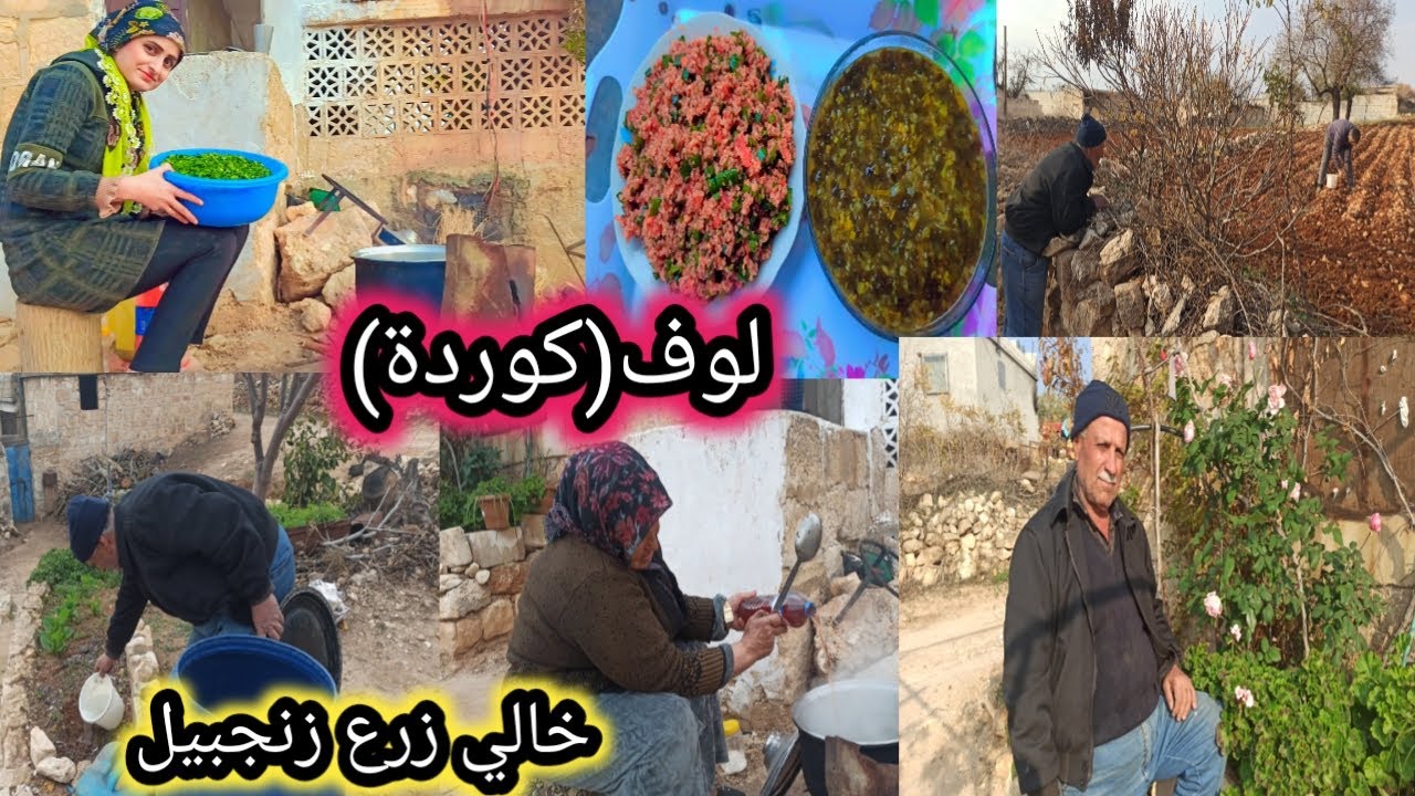 خالي زرع زنجبيل وطبخنا لوف (كورة ودانك)عالحطب قضيناها ضحك ومزحات خالي تابعوا الفيديو للاخير ❤️