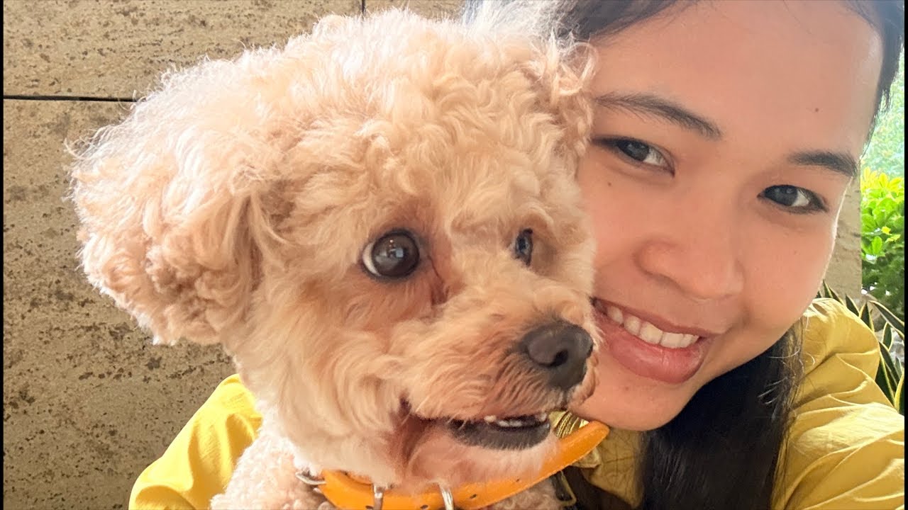 Third day of walking Bobbie🐕🐶❤️