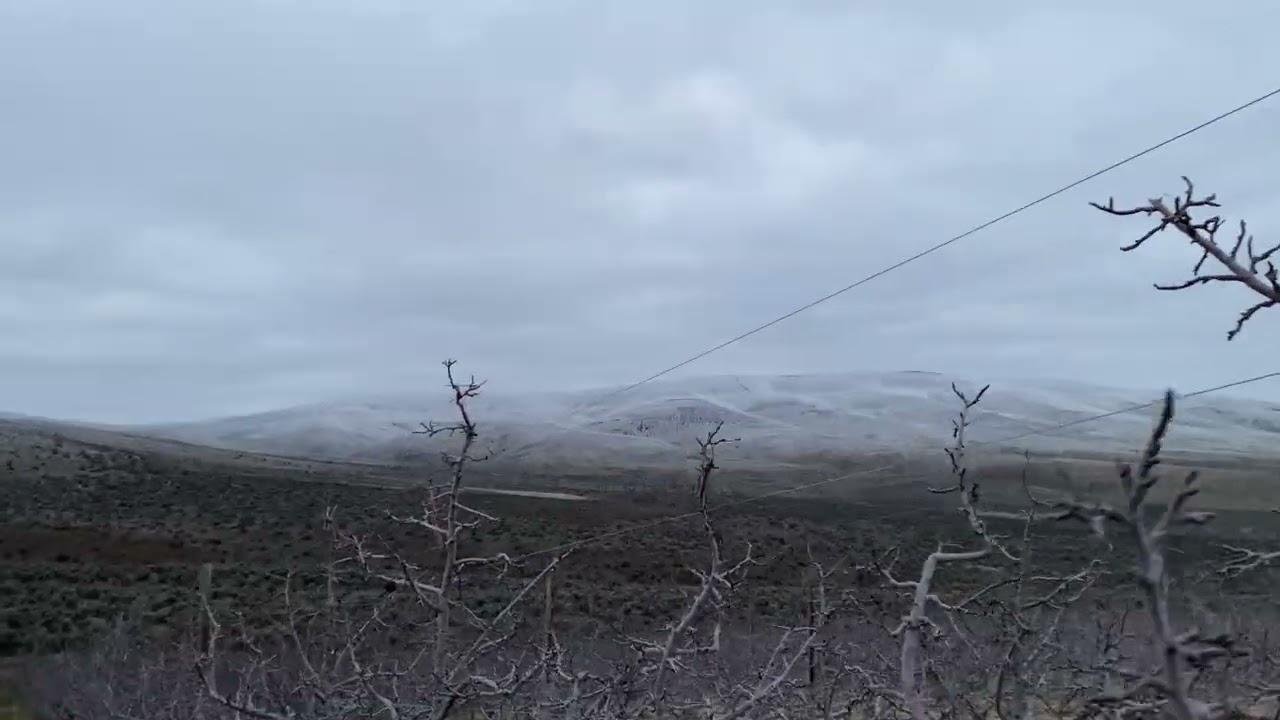 Terminamos la semana bien gracias a dios con 🥶 frío pero andamos 