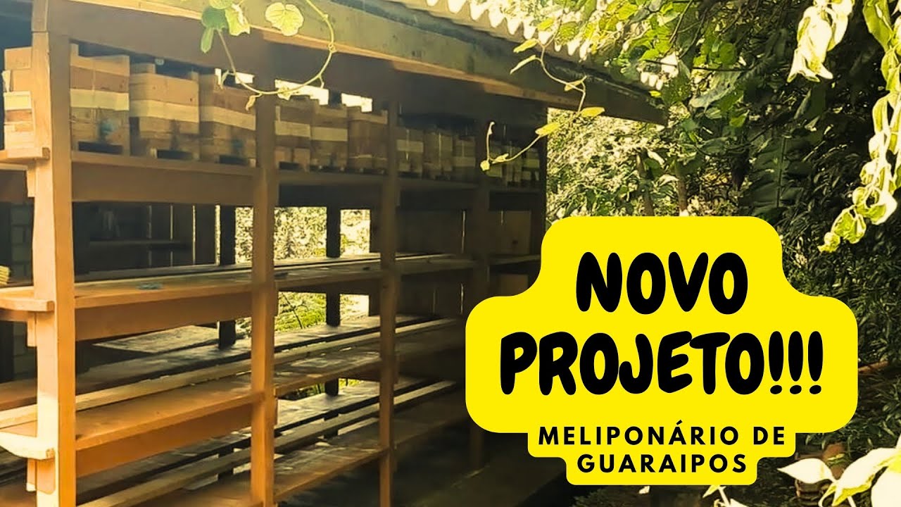 NOVO Meliponário - Construção e dicas!