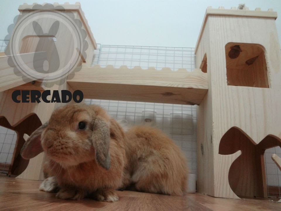 Dicas de condomínio para coelhos #2