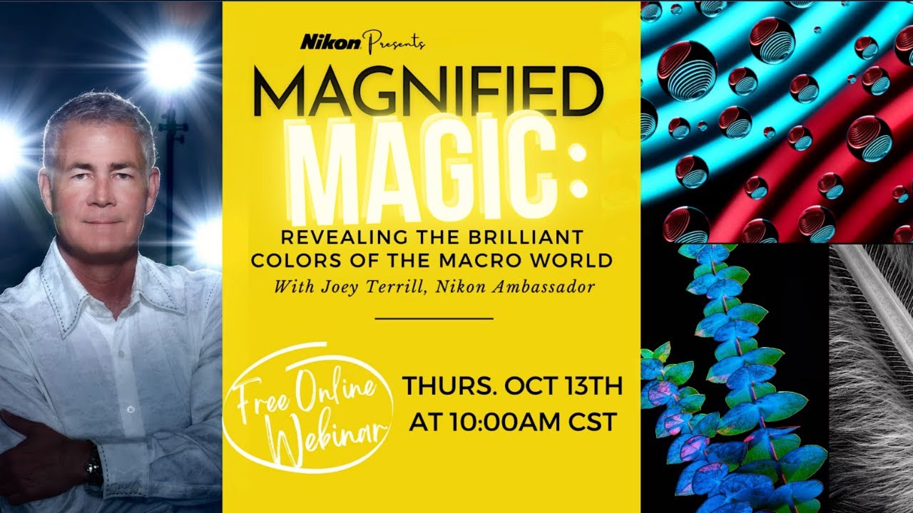 Magnified Magic: Revealing the Brilliant Colors of the Macro World