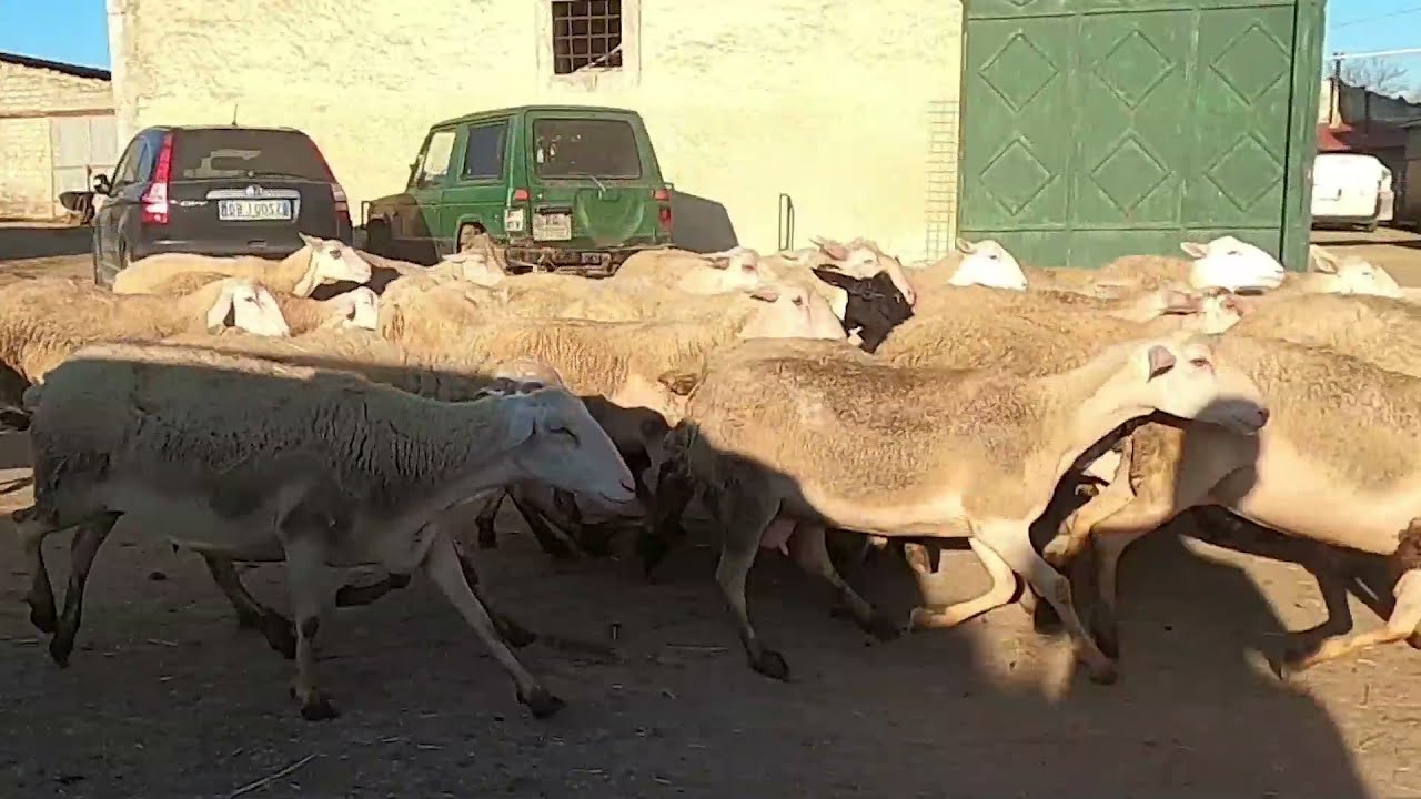 🇮🇹 PP5 &ndash; GAL Eloro - Gruppo d&rsquo;Azione Locale Eloro