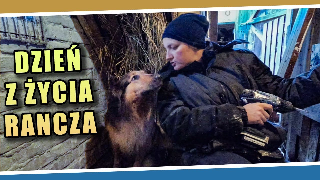 Dzień z życia Rancza 🐐