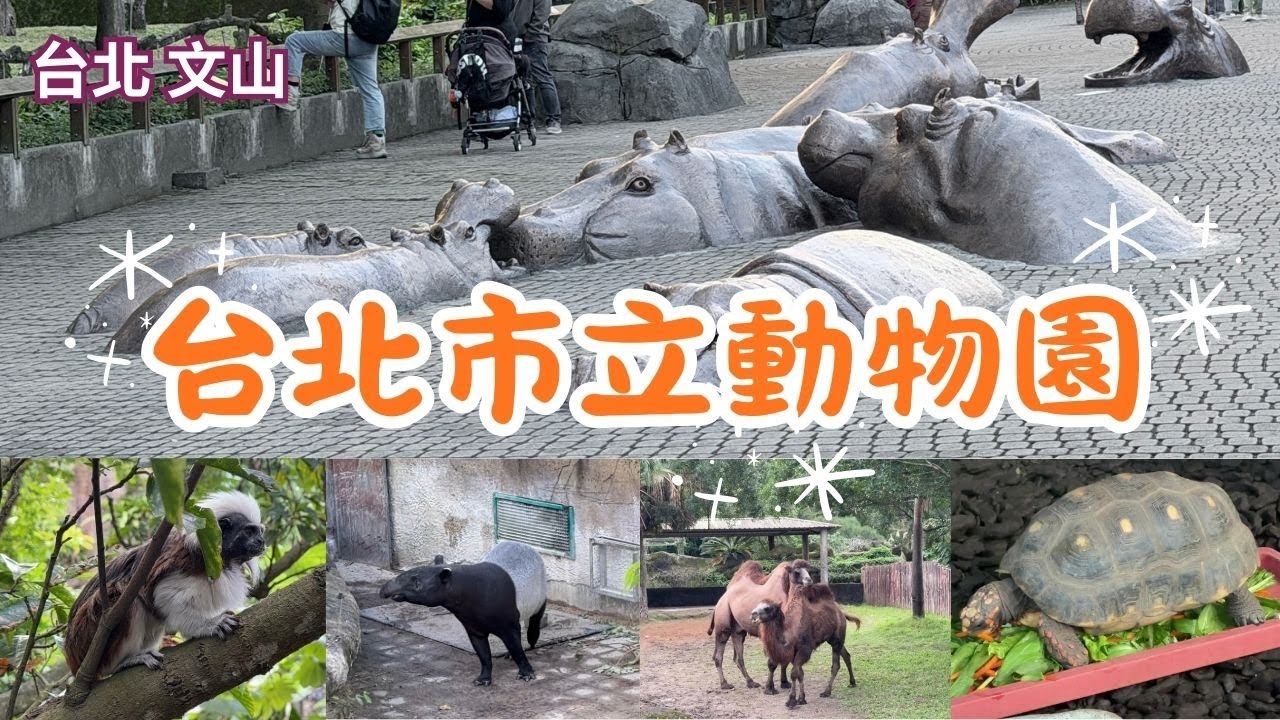 2025 -12 台北 文山 台北市立動物園(✌️睽違已久的動物園😉快閃)