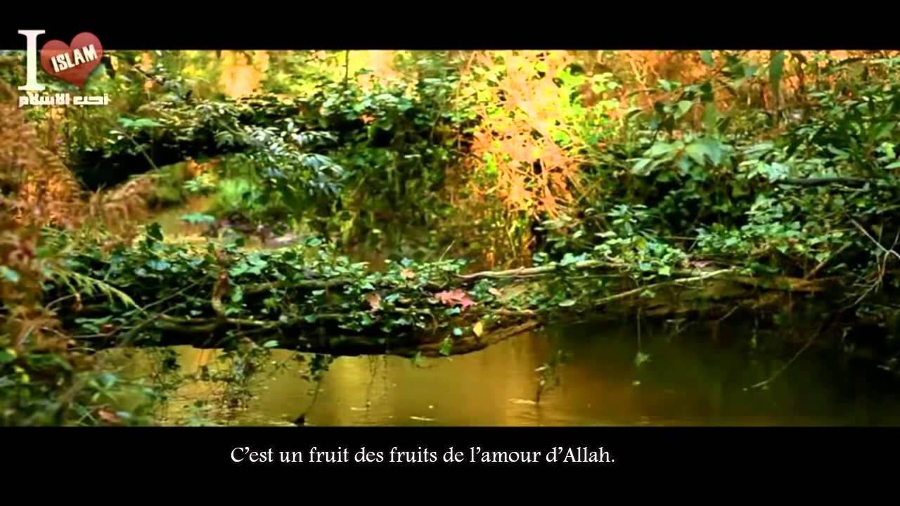 La sagesse &ndash; Dr. Mohammad Rateb Al-Nabulsi