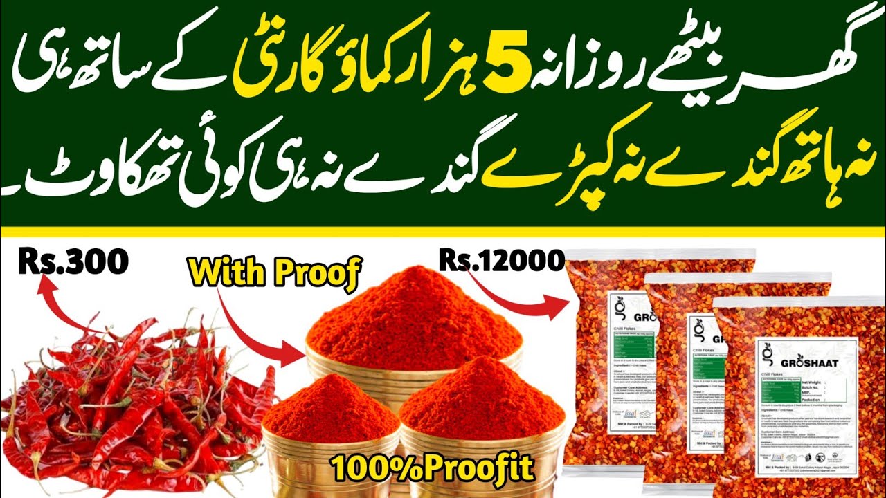 Business Start From Home🔥 | Home Based Business Ideas | Red Chilli Powder Business Idea