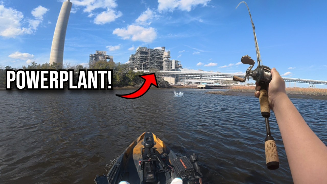 Didn’t Expect THIS Near the Powerplant…