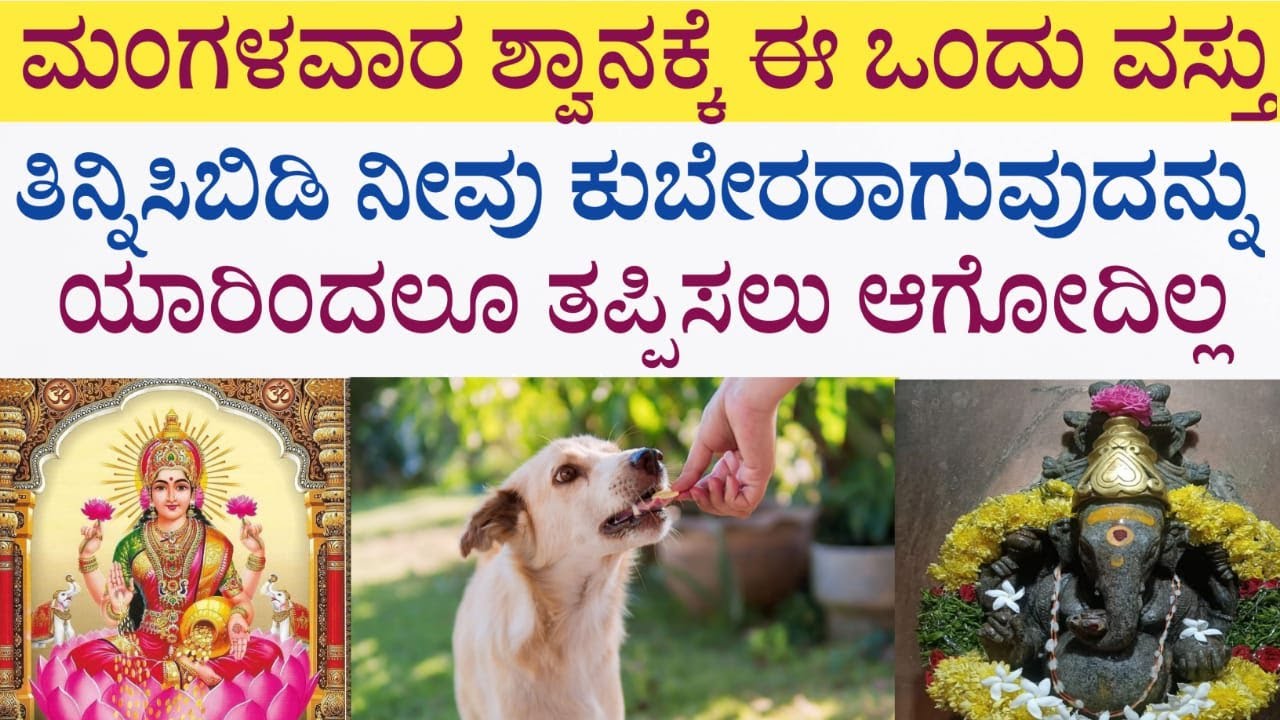 ಮಂಗಳವಾರ ಶ್ವಾನಕ್ಕೆ ಈ ಒಂದು ವಸ್ತು ತಿನ್ನಿಸಿ  give these food to dogs and see changes in life #astrology