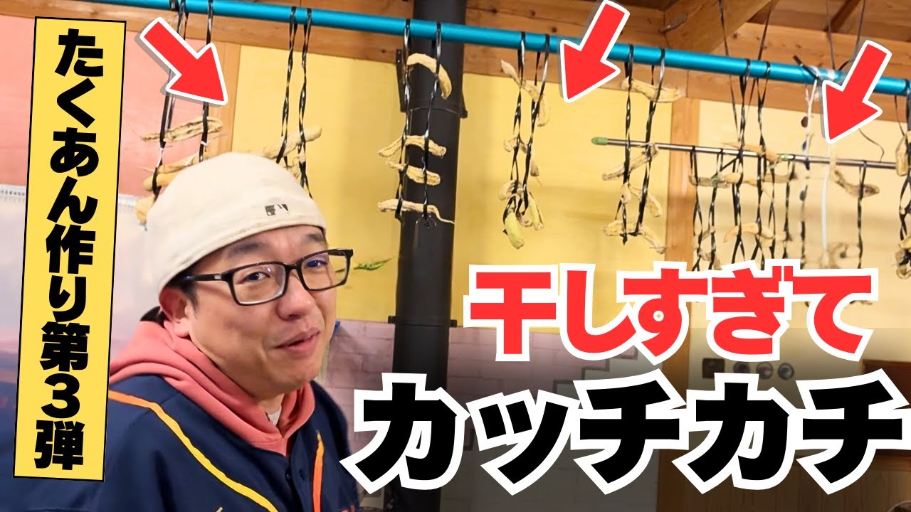 干しすぎてカッチカチ…干しすぎ大根でたくあん作れるのか検証します