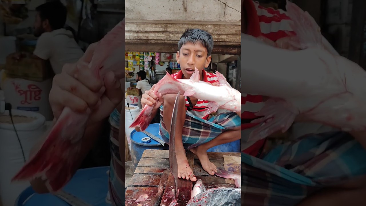 Amazing Pangash Fish Cutting Skill #shorts #ffbd #fish_cutting_bd