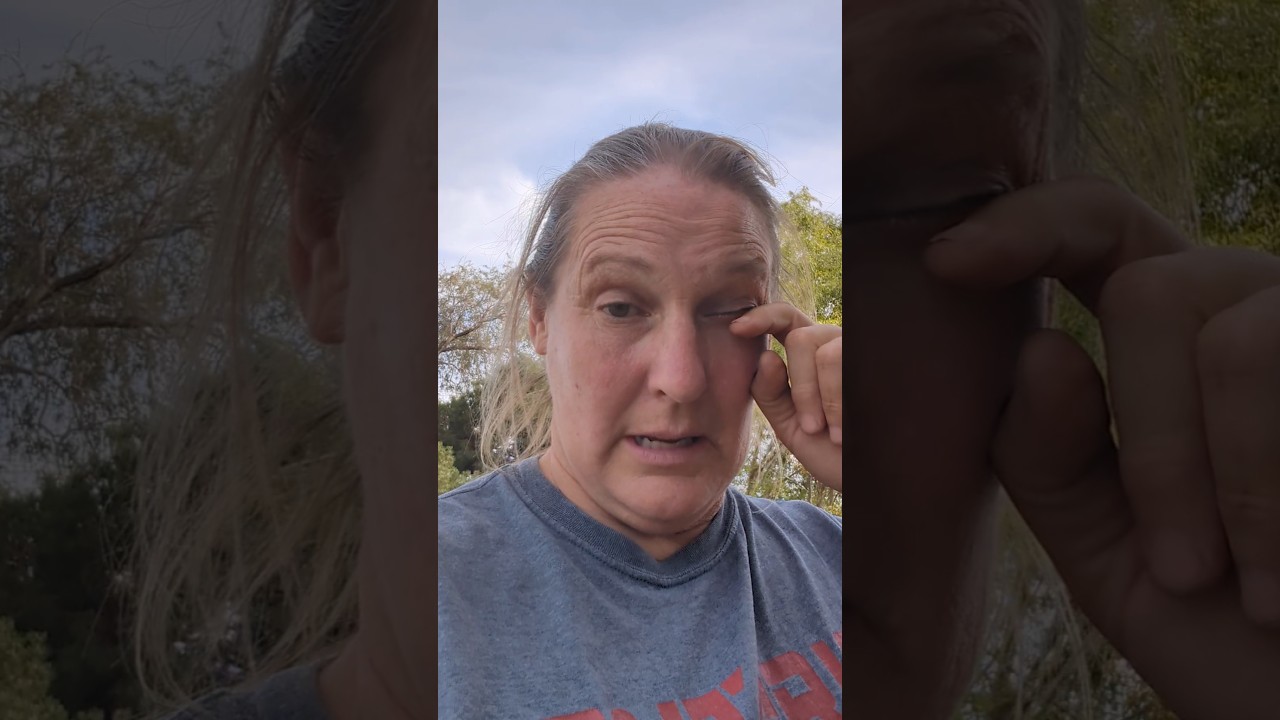 Proven Winners mail order! #provenwinners #fall planting#garden #gardendesign #hydrangea#flowers