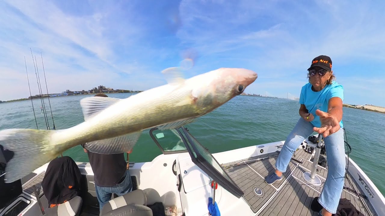 September 20 Walleye Jigging Detroit River
