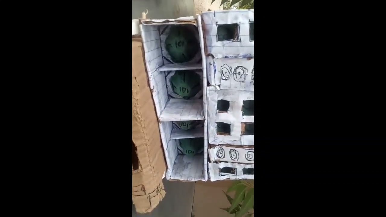 Mini paredãozinho de papelão de 4 grave de caixa de ovos tocando mais top do Nordeste