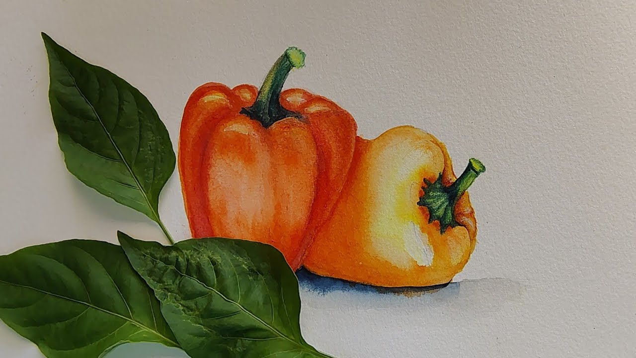 Pimentões: Aquarela 