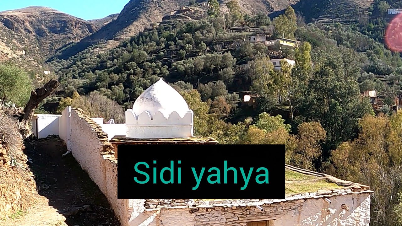 توزيع الشتائل دوار سيذي يحيى إفرني Sidi Yahya Ifarni 