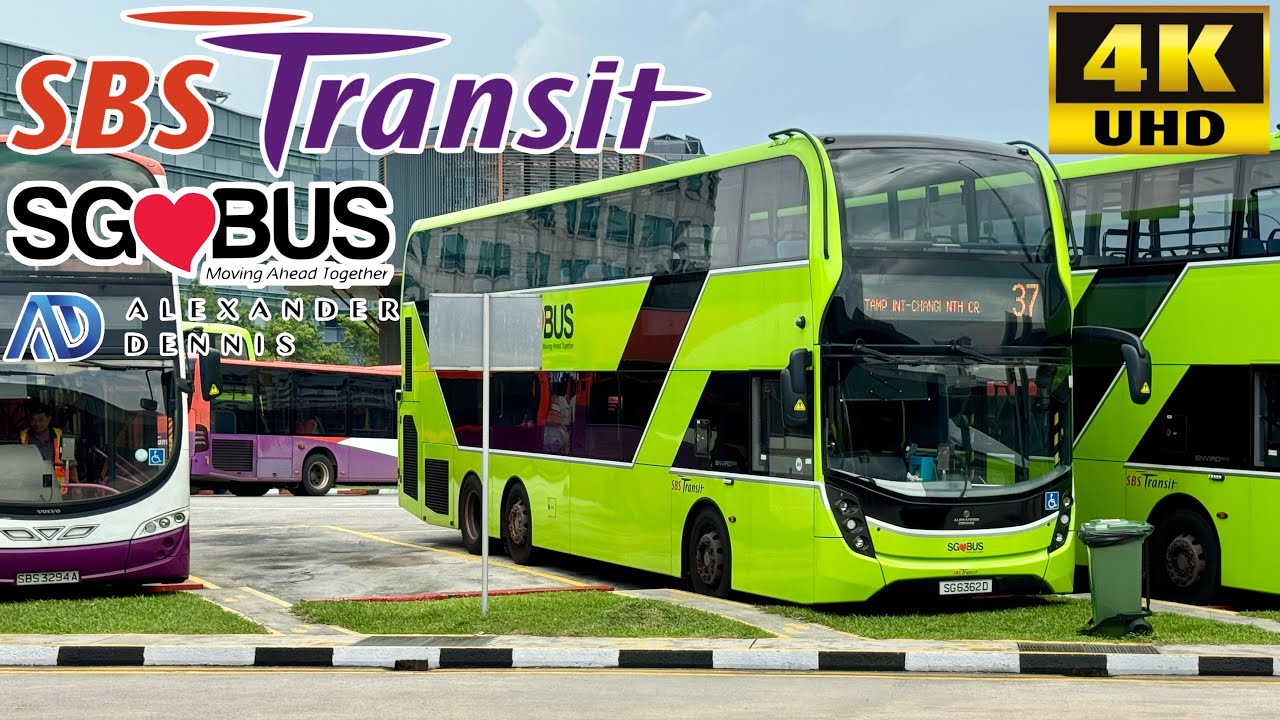 [SBS Transit Bus Singapore: 37 Tampines 淡濱尼 to Changi North 樟宜北] Dennis Enviro500MMC Triple Doors