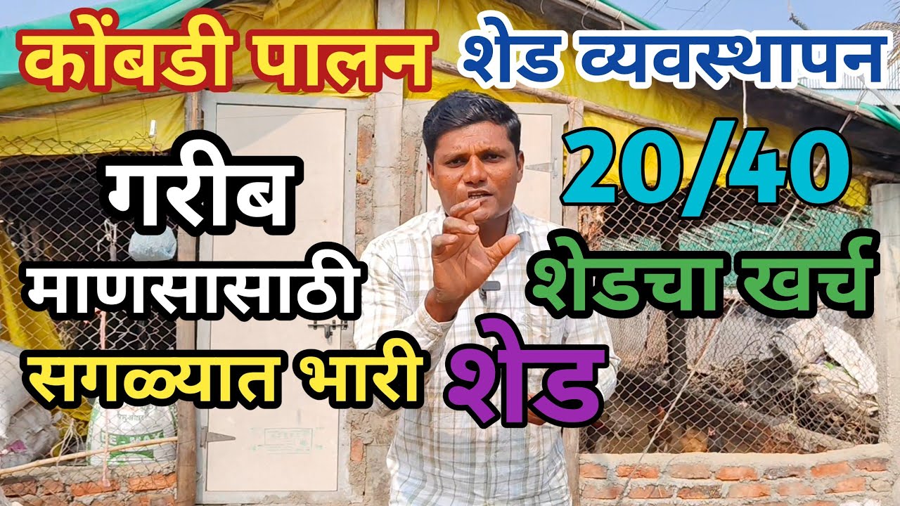 कमी खर्चात तयार करा शेड | कोंबडी पालन करण्यासाठी शेड कस असावं थोडक्यात सविस्तर माहिती kombdi palan