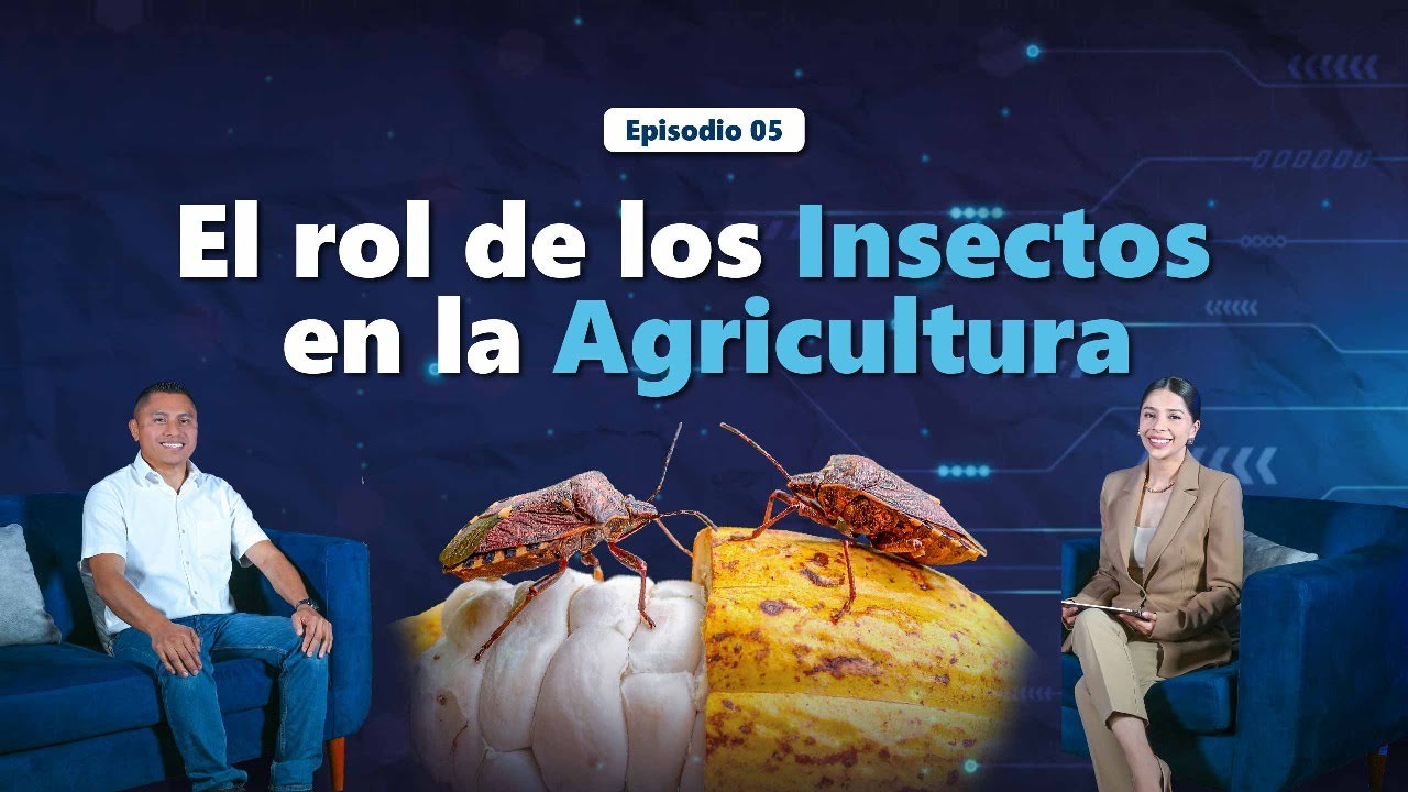 🦋 Aliados naturales y enemigos invisibles: El rol de los insectos en la agricultura 🌾🐜