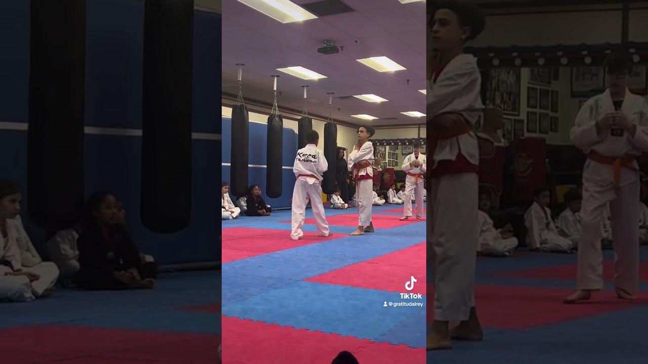 Cinturón Verde 🥋