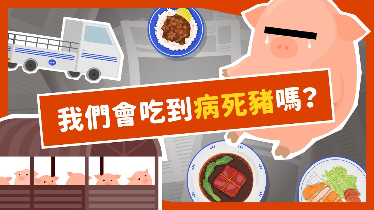 溫體豬好新鮮？如何才能安心吃豬肉？