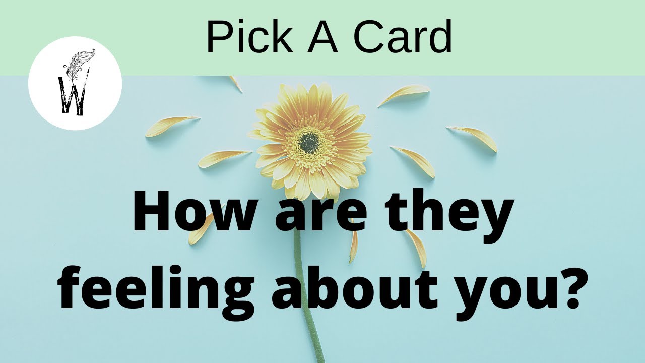 Pick A Card - How are they feeling about you? 💕  (No communication)