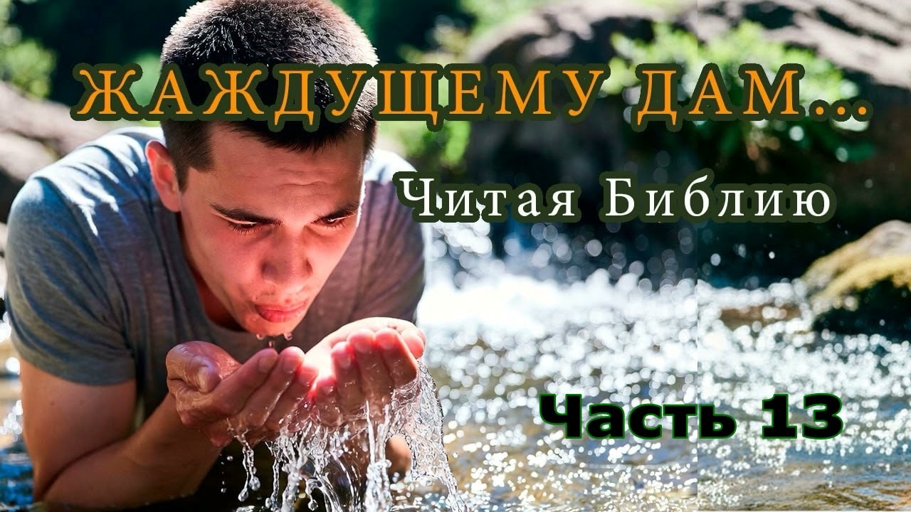 Размышления Светланы Тимохиной Часть 13 