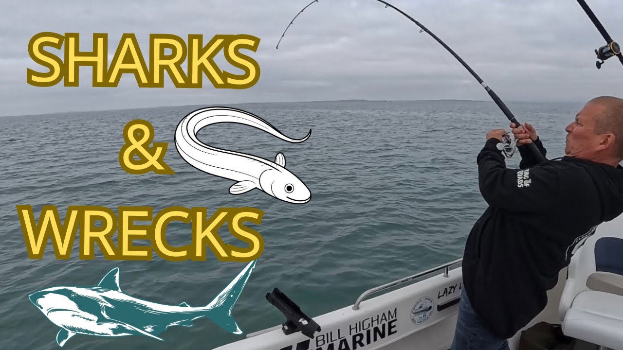 Deep sea wreck fishing of north wales , a very good days fishing , warrior boat ,