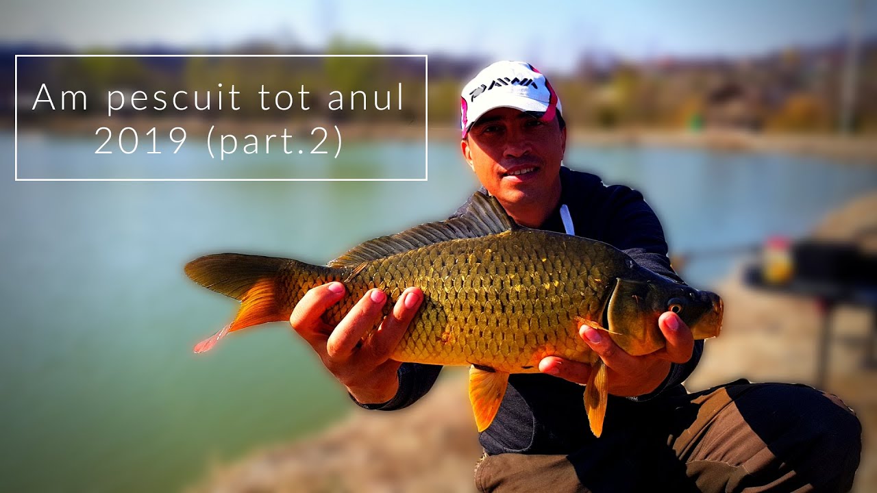 Cum am prins pești tot anul 2019 (part.2) | Pescuim la feeder și &icirc;n 2020