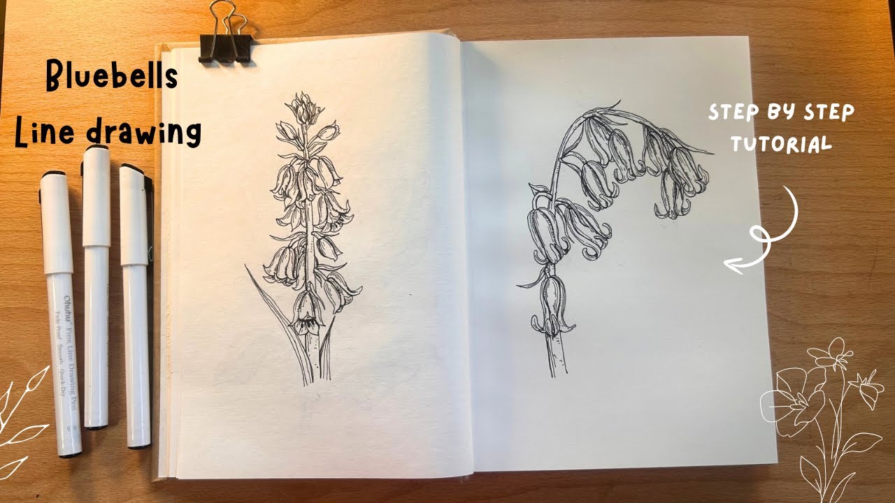 How to draw realistic blue bell flowers: Draw with me / Beginner friendly tutorial🌸