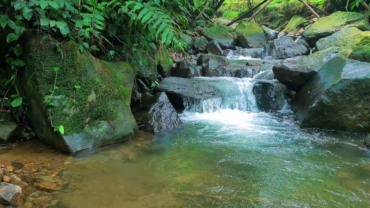 Calming Moonlight River Stream – Gentle Water Sounds to Support Deep Sleep