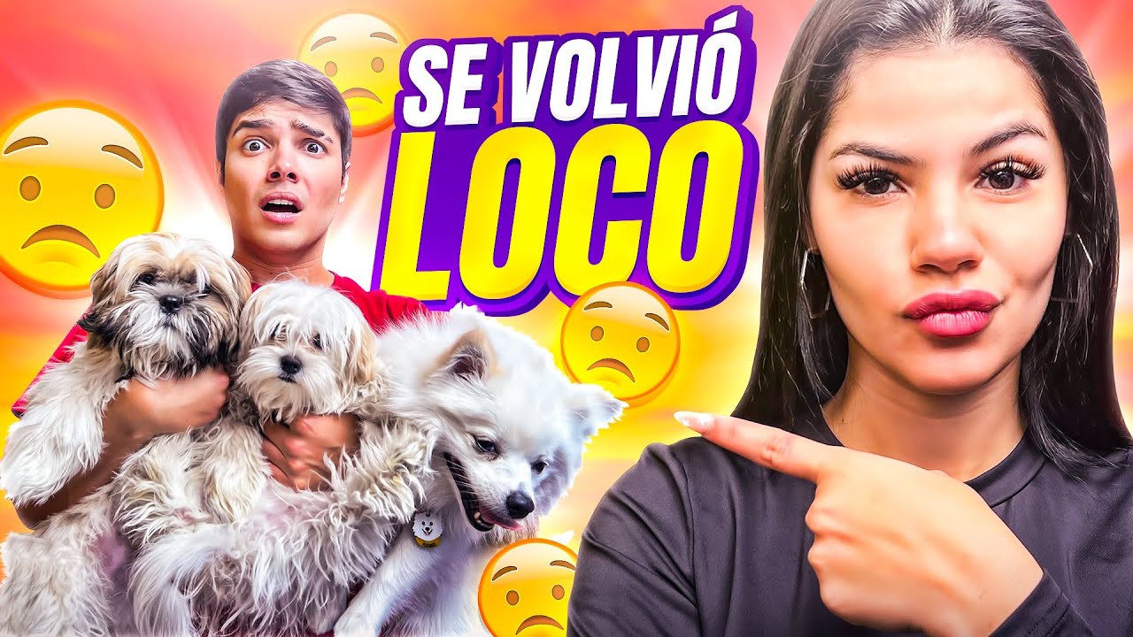 OBLIGO a MI NOVIO a CUIDAR A MIS 3 PERRITOS BEBÉS Por 24 HORAS 👿