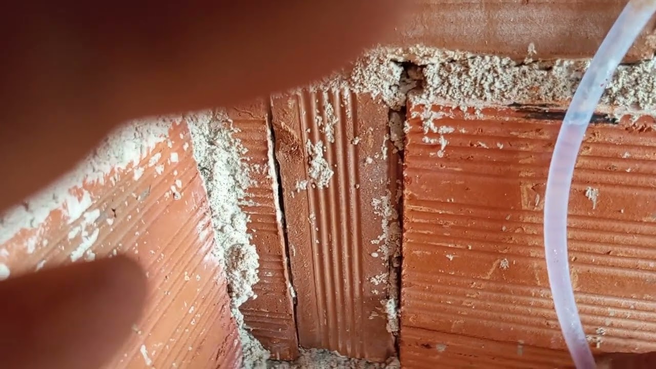 Voltei a construção da casa 