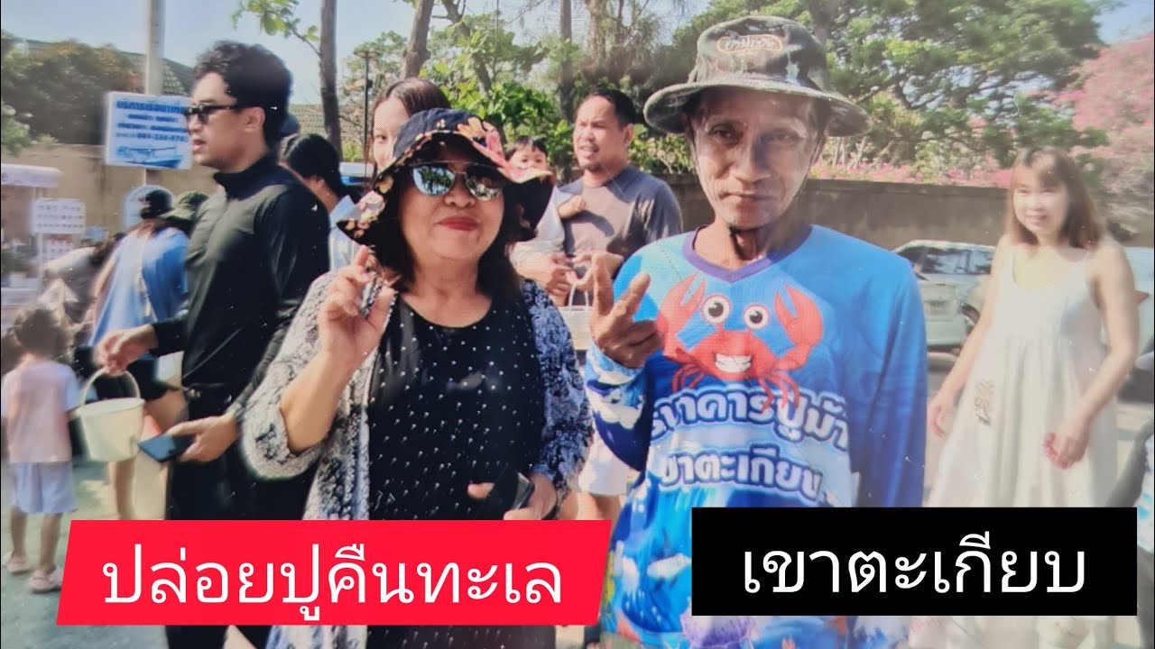 Выпуск голубых крабов обратно в дикую природу в туристическом местечке Кхао Такиаб.