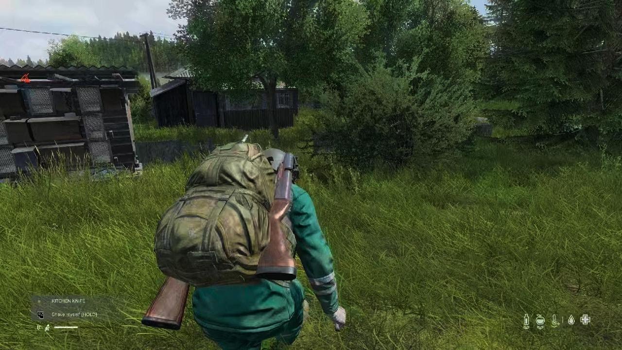 DayZ_20260201194756