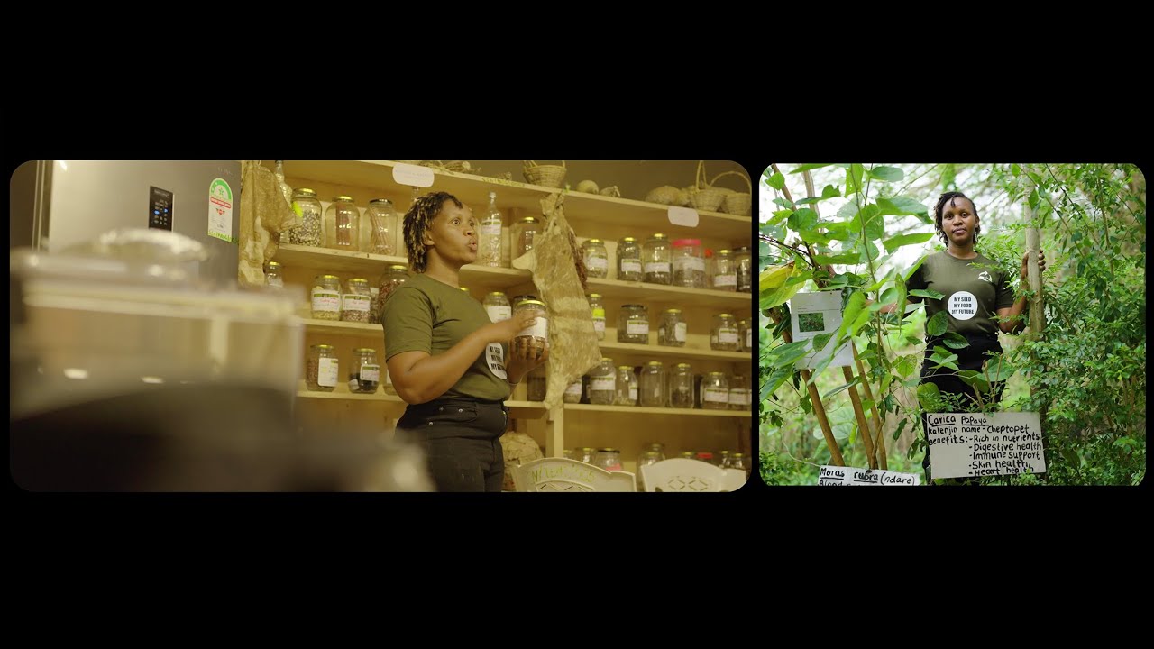 African Food Fellowship: leading the change to transform food systems