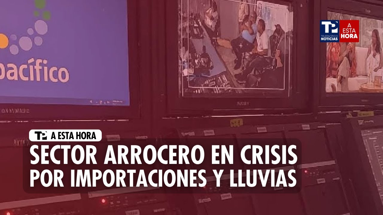 Avance Informativo: Sector arrocero en crisis por importaciones y lluvias